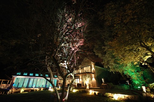Accent lighting tree with RGB projector