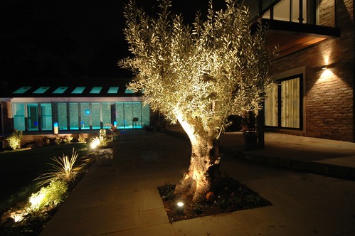 Accent lighting tree with spike light