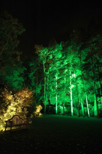 Accent lighting trees with flood