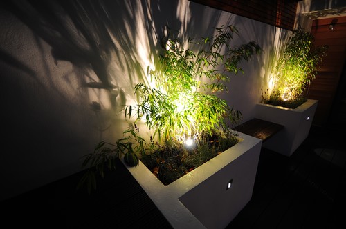 Uplighting plants with spike lights