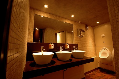 Contour downlights in bathroom