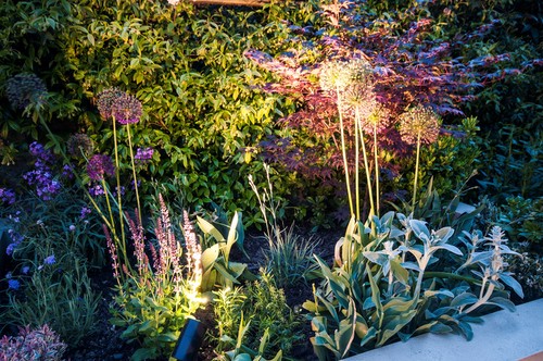 Smooth spike lighting plants