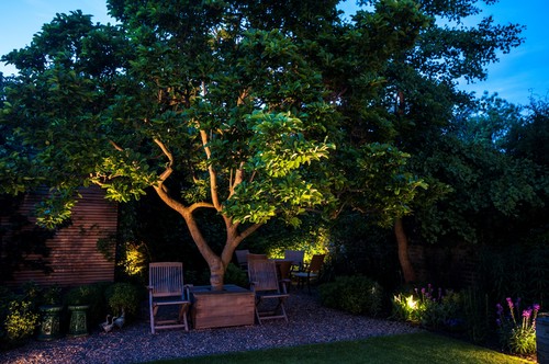 Smooth spike lighting tree