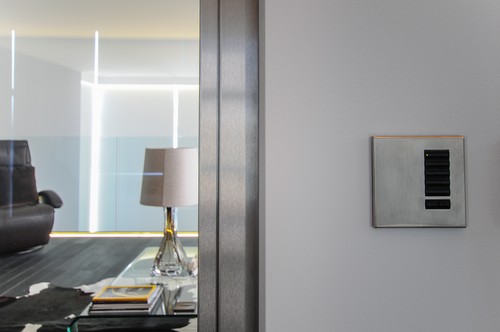 Lutron wireless switch controls