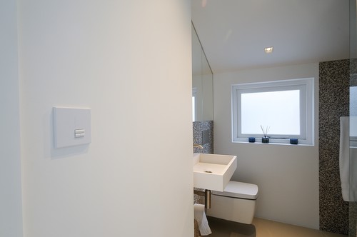 Lutron switch in bathroom
