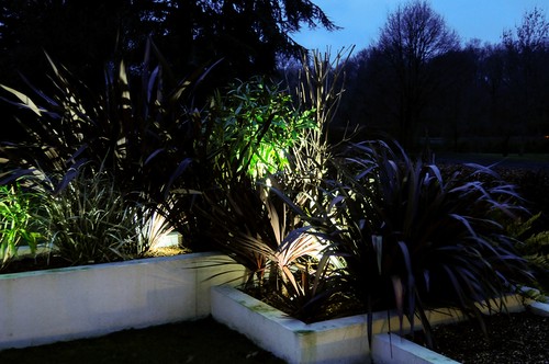 Spike lights lighting plants