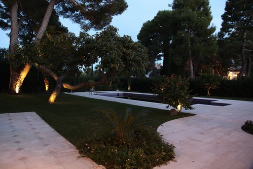 LED Hood lights