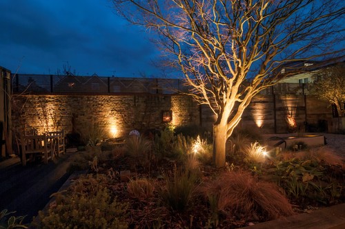 Spike Lights illuminating garden