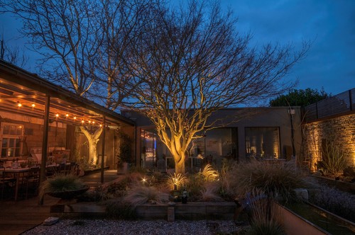 Spikelights illuminating trees and cage lamps