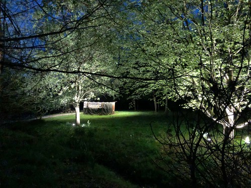 Garden lawn and hut