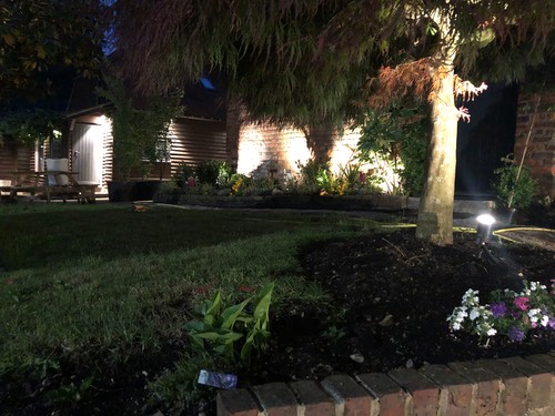 Spike lights in flower beds illuminating trees and buildings