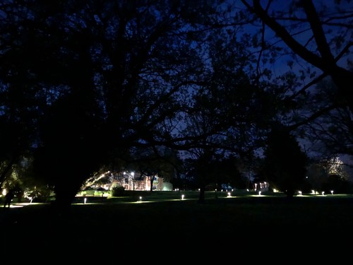 Uplights illuminating drive way photo from a distance  