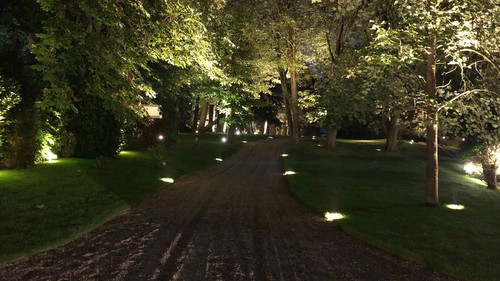 Uplights lining the drive way