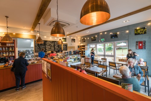 Cafe dining area with downlights