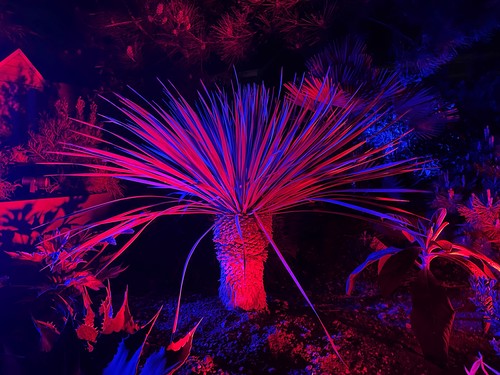 RGBW spike lighting