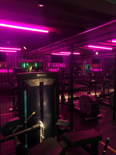 Stock lights in gym